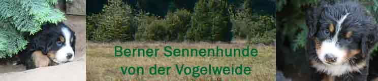 Banner-von-der-Vogelweide