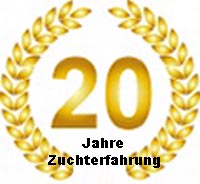 golden_20